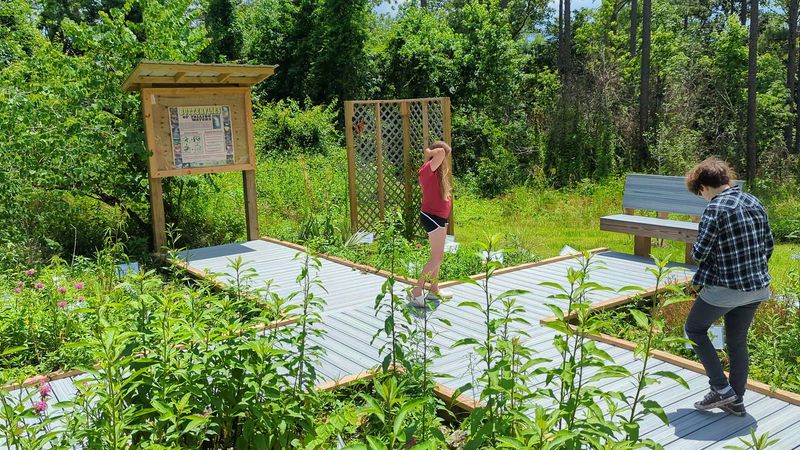 The Butterfly Garden That Comes Alive In Warm Months