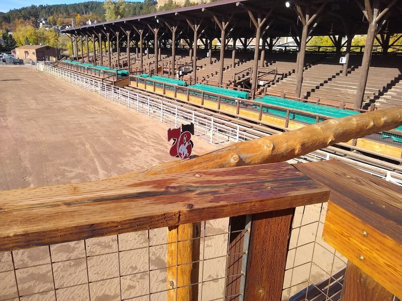  The Wildest Party In The West