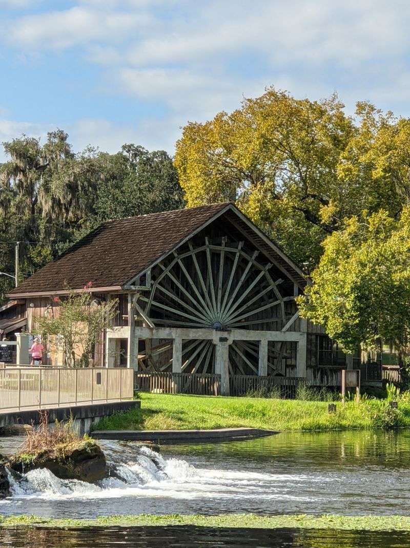 Decor, Ambiance, And Setting