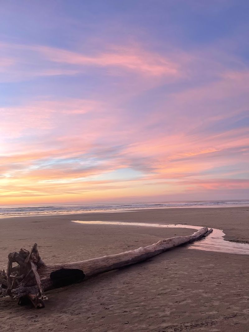 The Tide Pools That Deserve Way More Attention