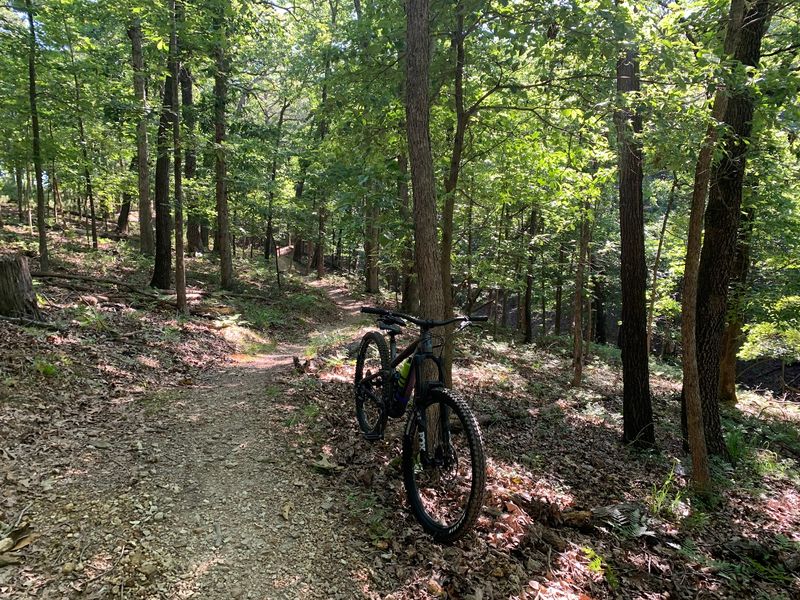 Hobbs State Park-Conservation Area, Rogers