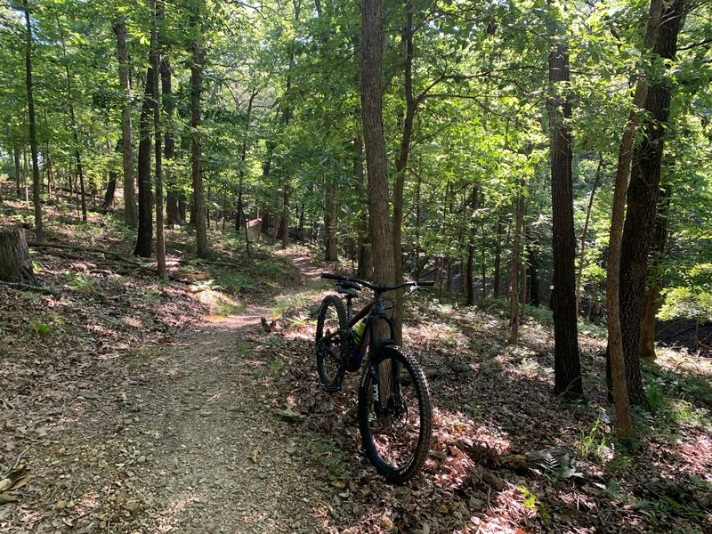 Hobbs State Park-Conservation Area, Rogers