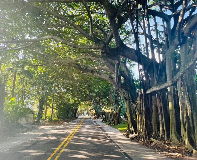 How Long Is The Tunnel, Really?