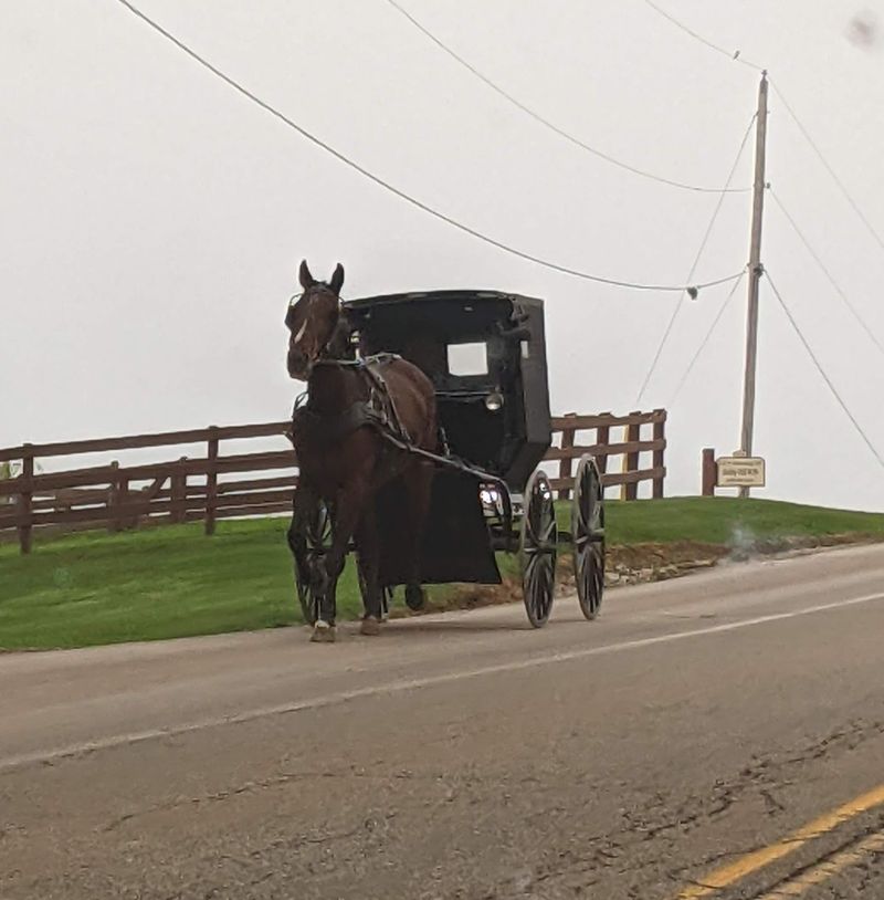 Ohio Amish Country Byway (Holmes County Loop)