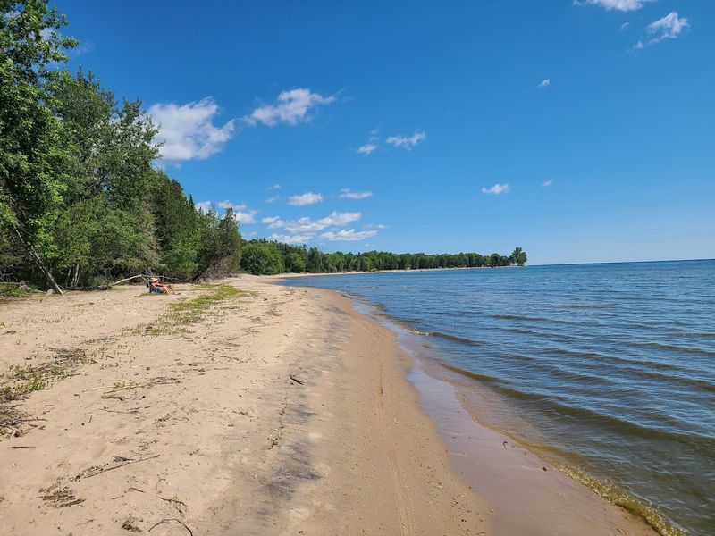J.W. Wells State Park, Cedar River