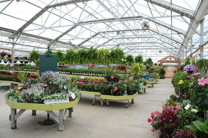 Hoerr Nursery, Peoria Hoerr Nursery, Peoria
