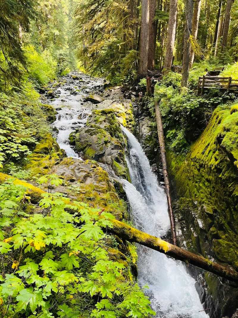 Sol Duc Falls Trail, Olympic National Park, WA