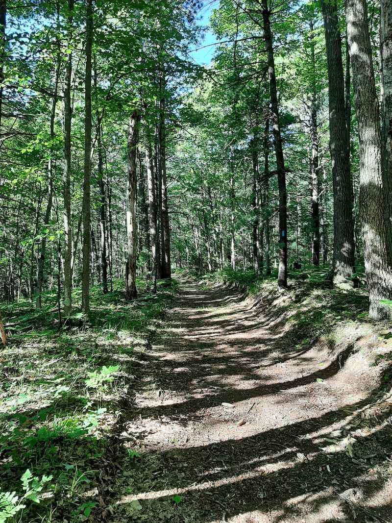 Sand Lakes Quiet Area Pathway, Williamsburg