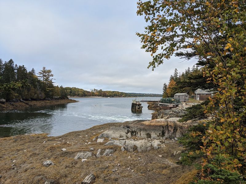 Holbrook Island Sanctuary, Brooksville