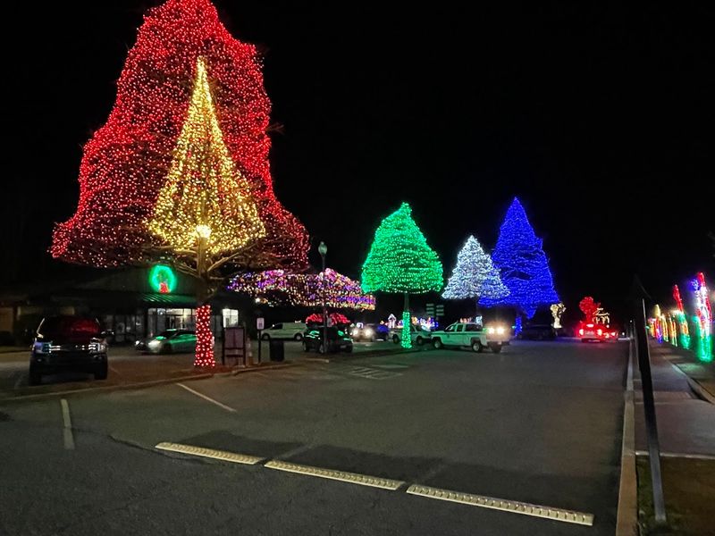 Holiday Lights And Seasonal Transformations