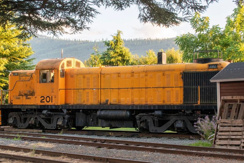 Holiday Rides And Seasonal Surprises Worth Planning Around