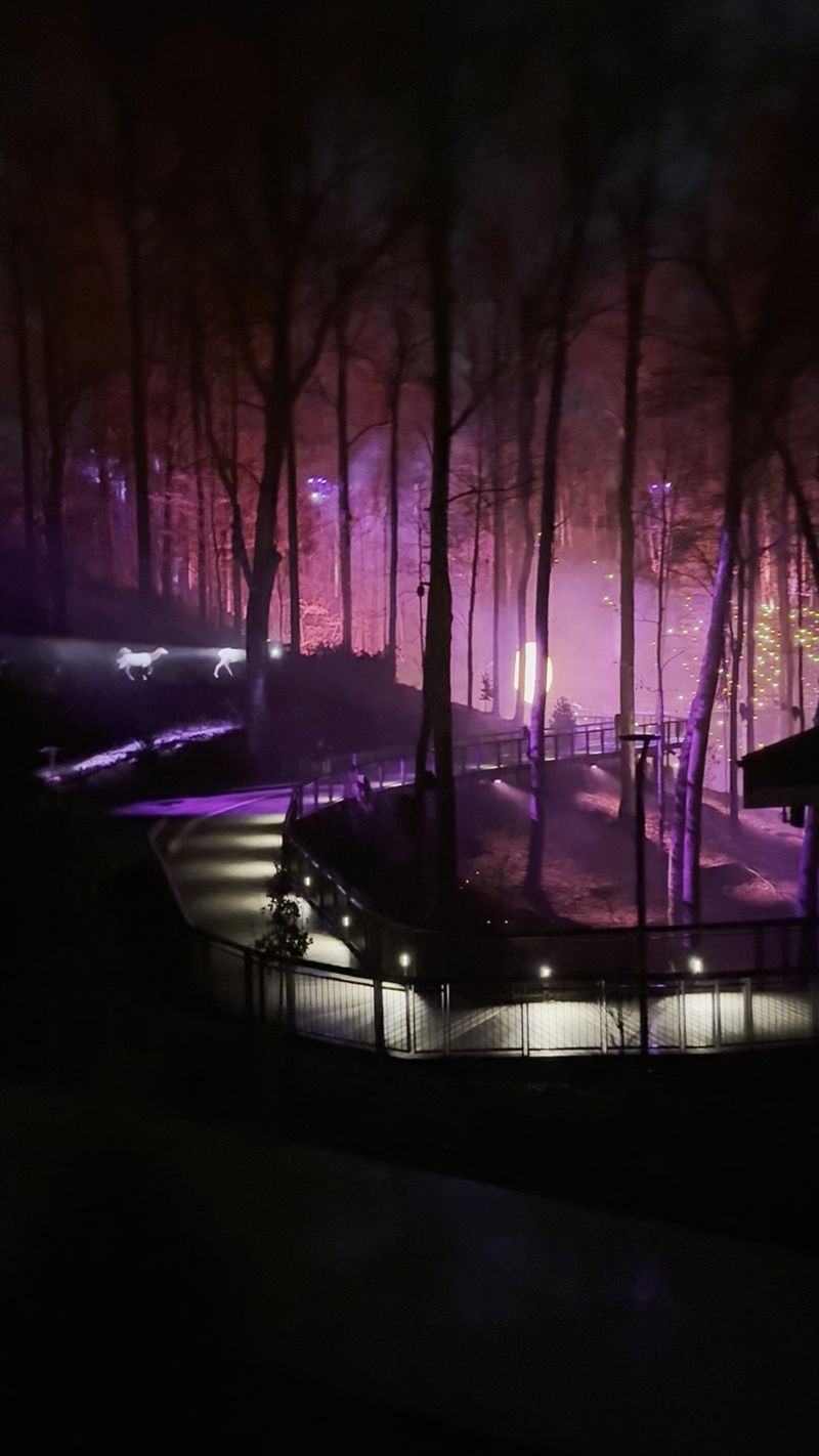 Smoky Night Lights at Zoo Knoxville, Knoxville