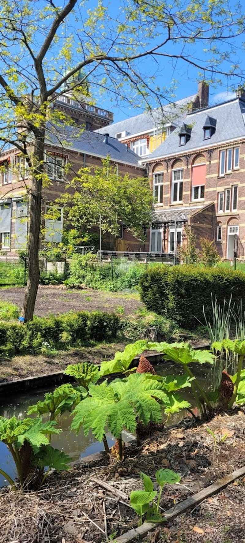 Holland