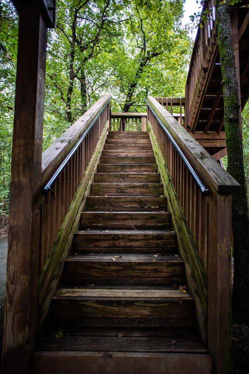 Forrest L. Wood Crowley’s Ridge Nature Center Boardwalk, Jonesboro