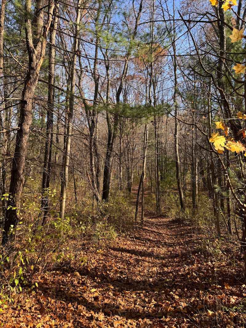 Holly Recreation Area - Holly