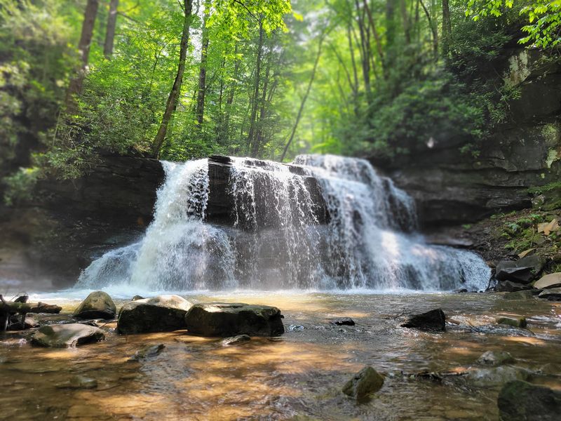 Holly River State Park Campground