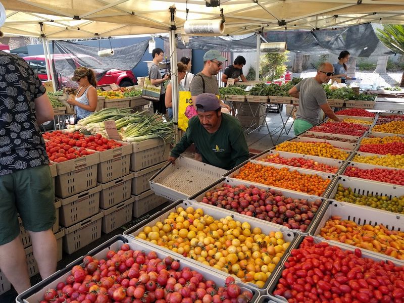 Hollywood Farmers Market Hollywood Farmers Market