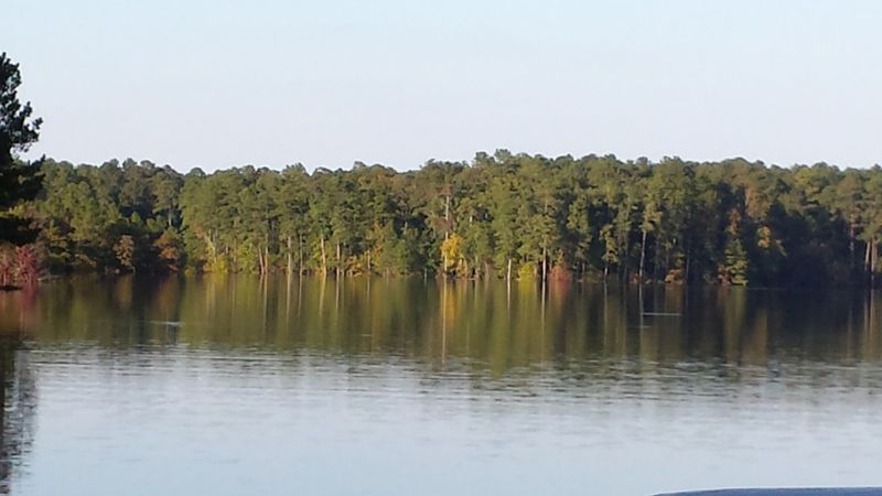Jordan Lake Educational State Forest - 2832 Big Woods Rd, Chapel Hill