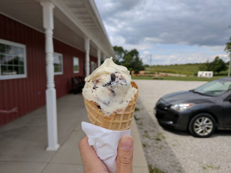 Homemade Ice Cream With Perfect Texture Homemade Ice Cream With Perfect Texture