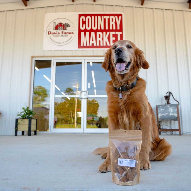 Homemade Treats Finish The Visit On A Sweet Note