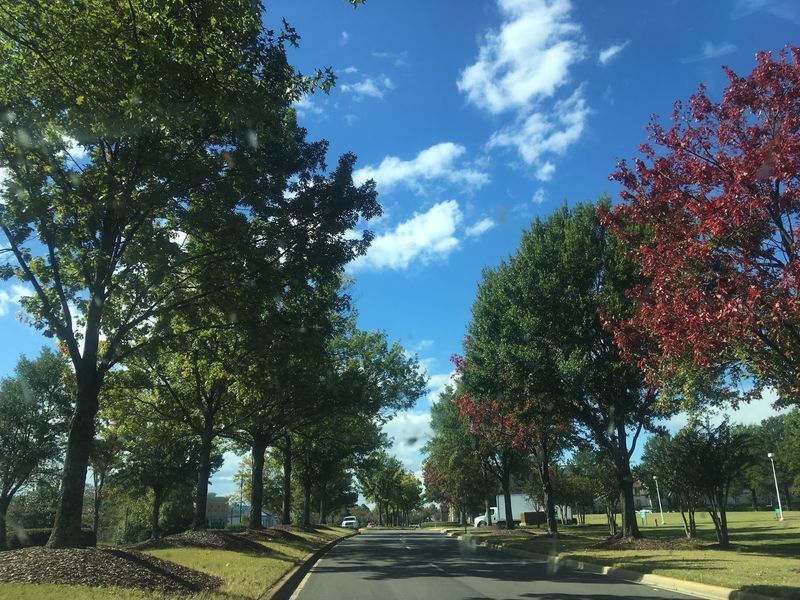 Homewood