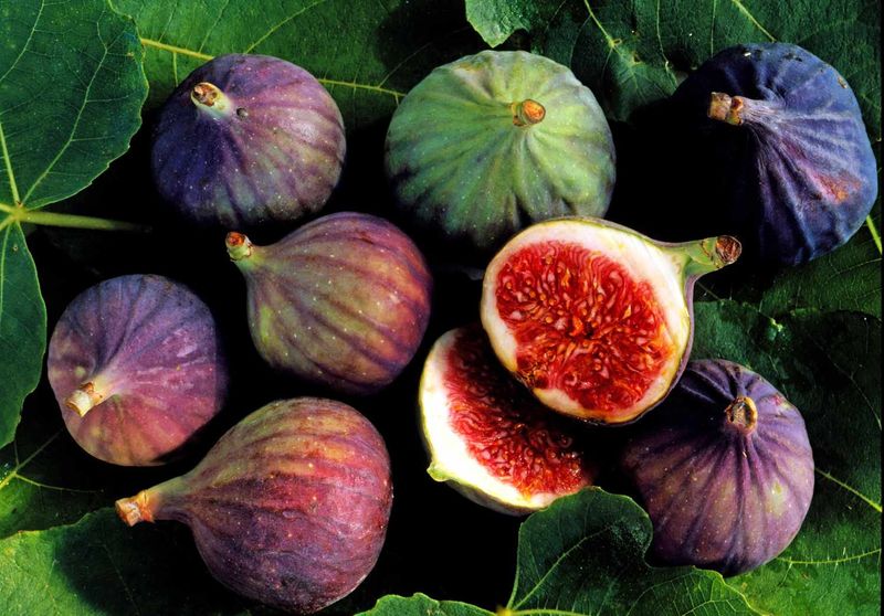 Figs: Nature's Ancient Candy