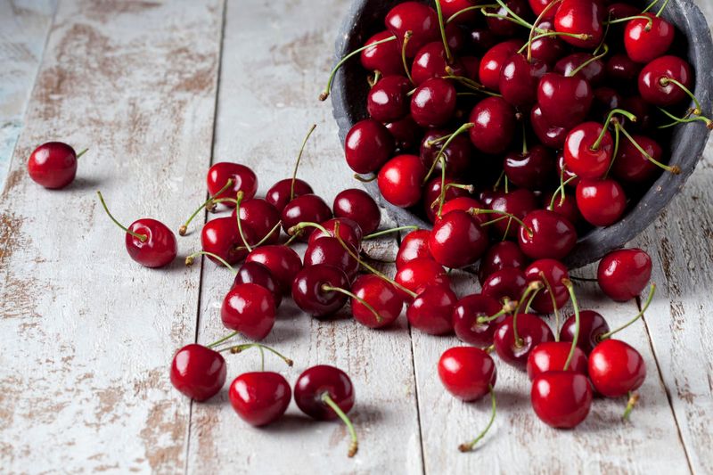 Cherries' Sleep Solution