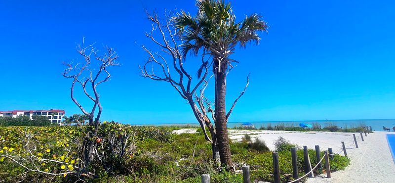 Sanibel Island Beaches, Sanibel