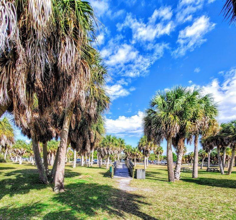 Honeymoon Island State Park, Dunedin