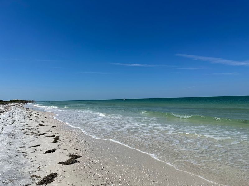 Honeymoon Island State Park, Dunedin, FL Honeymoon Island State Park, Dunedin, FL