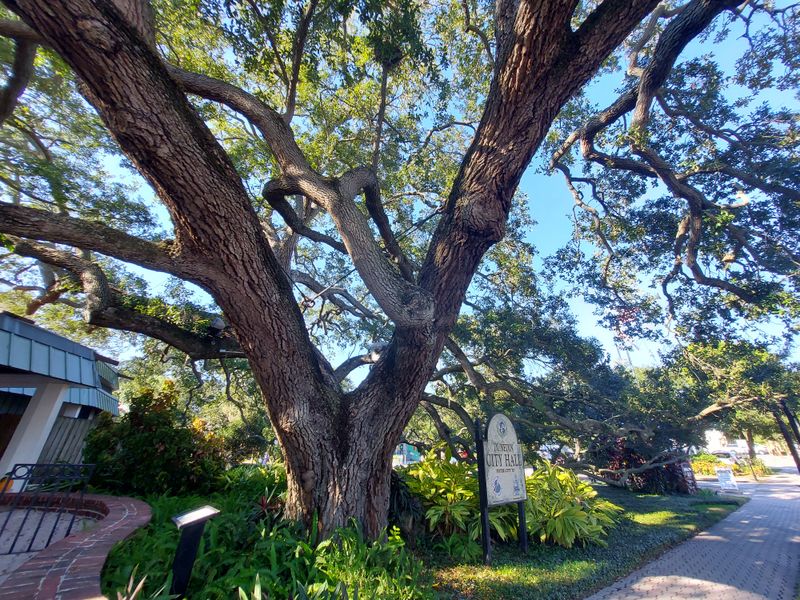 Hammock Park: Owls, Boardwalks, And Quiet