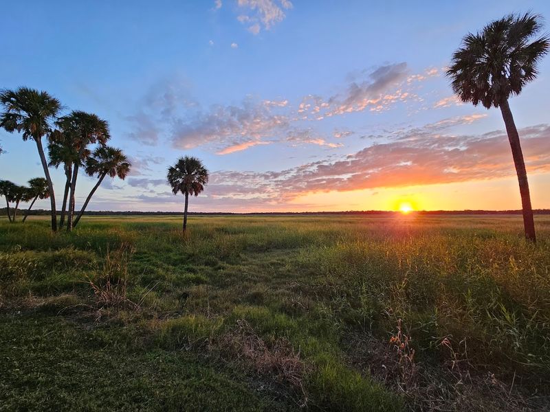 Myakka River State Park