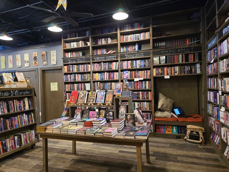 This Is A Bookstore / Bookbug, Kalamazoo
