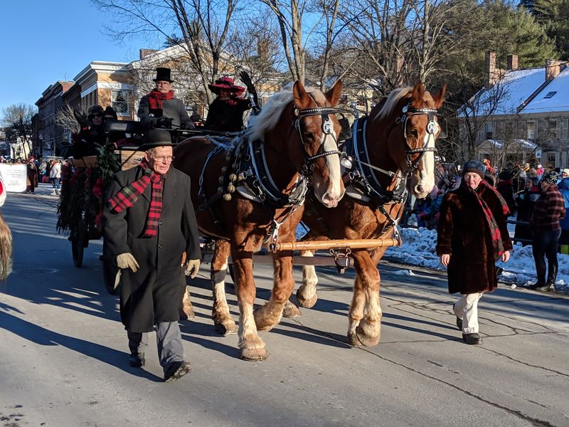 Hooves On Parade Will Steal Your Heart Fast