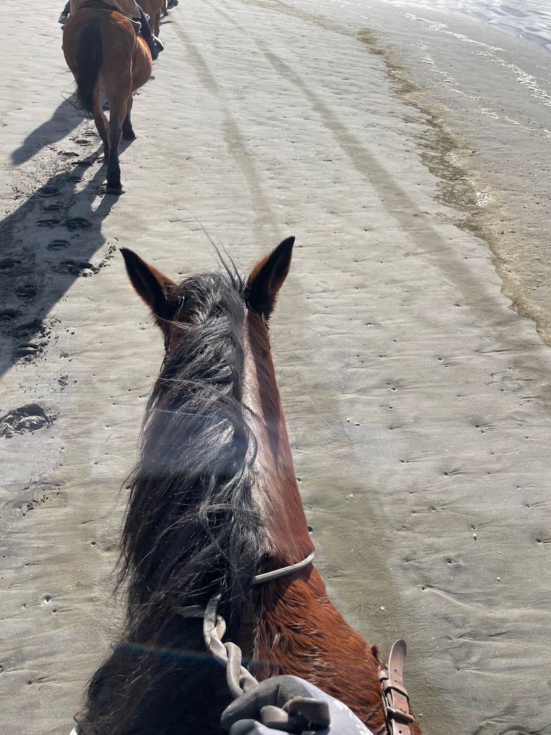 Hooves On The Wide-Open Pacific Sand