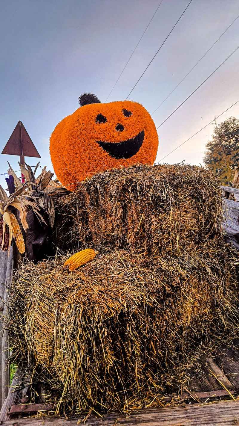 Hop On A Spooky Hayride For Round Two Of The Jitters