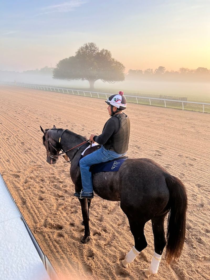 The City Has Deep Roots In The Thoroughbred Horse World