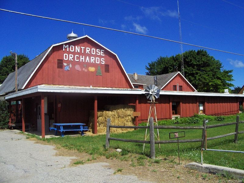 Montrose Orchards, Montrose