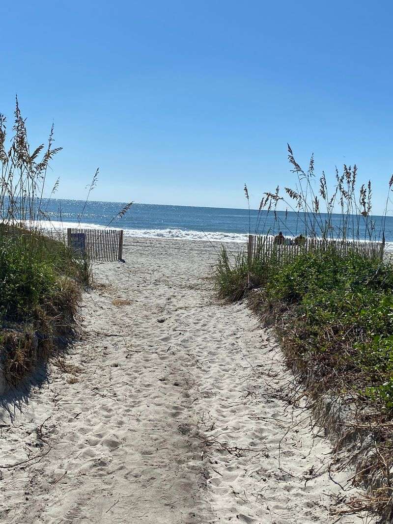 Horry County: Surf, Sand, And Surprise Visitors