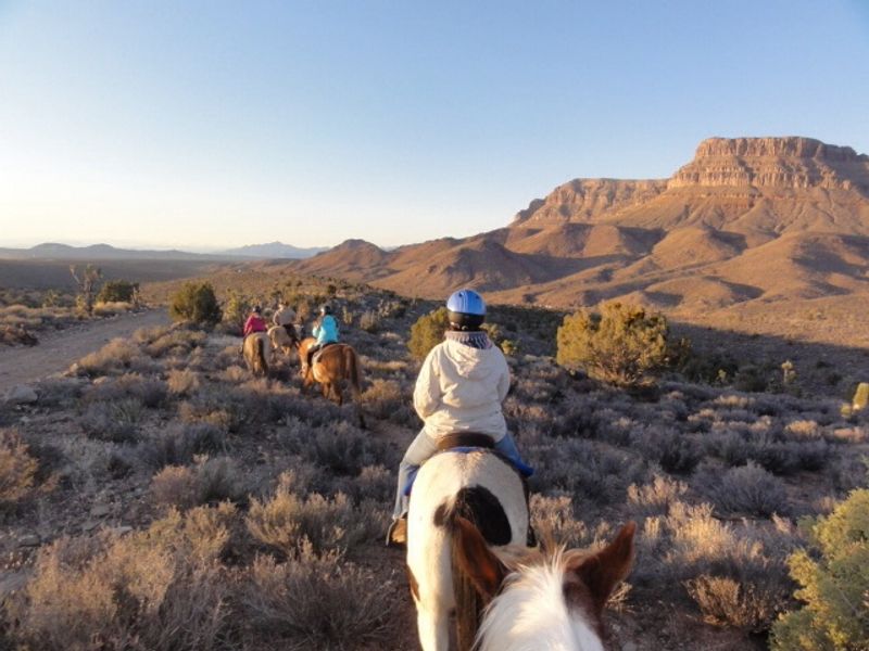 Horseback Rides Through Cactus Country Horseback Rides Through Cactus Country
