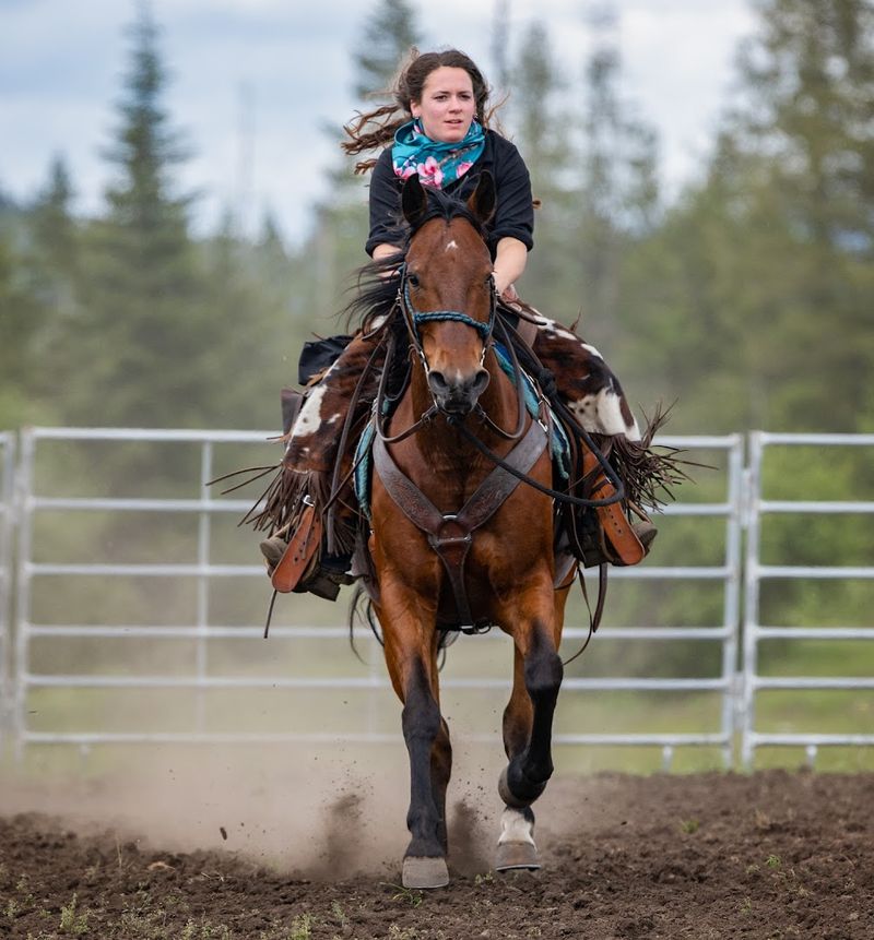 Horseback Riding That Matches Every Skill Level