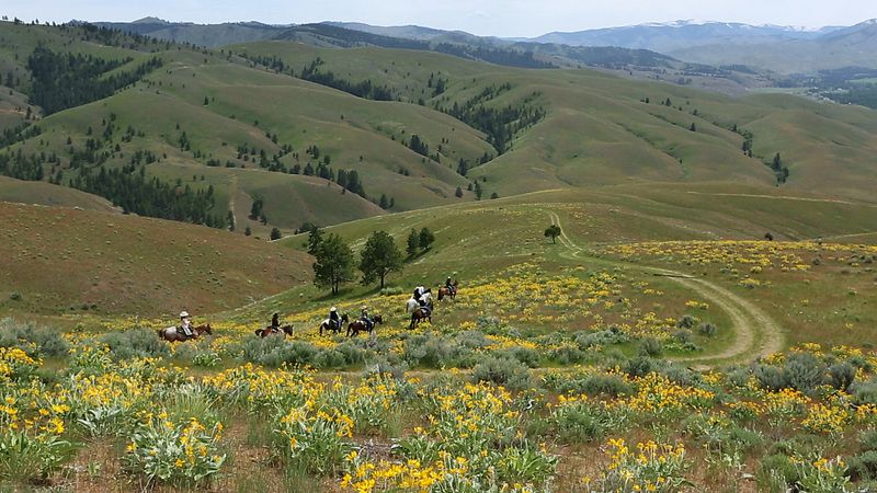 Horseback Riding Through Breathtaking Mountain Terrain