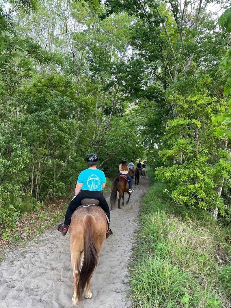 Horseback Riding Through Florida Wilderness Horseback Riding Through Florida Wilderness