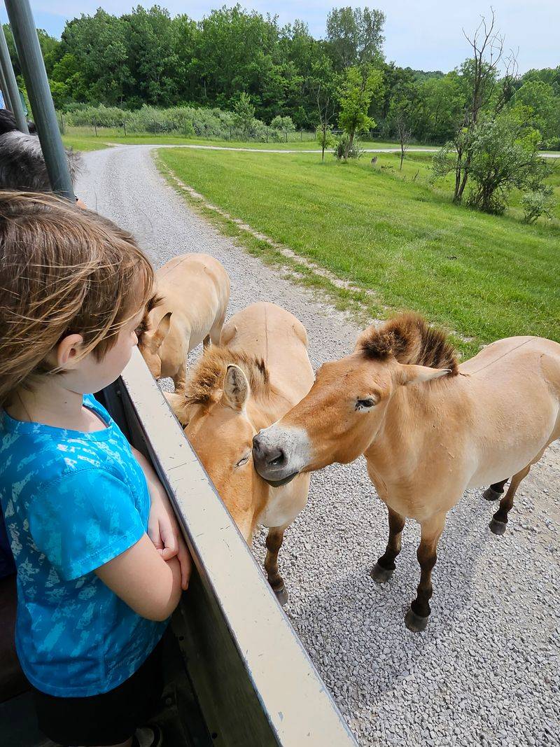 Conservation Education That Inspires Action