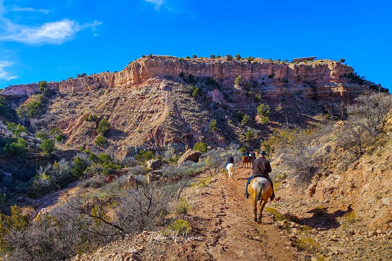 Horseback Riding Through History
