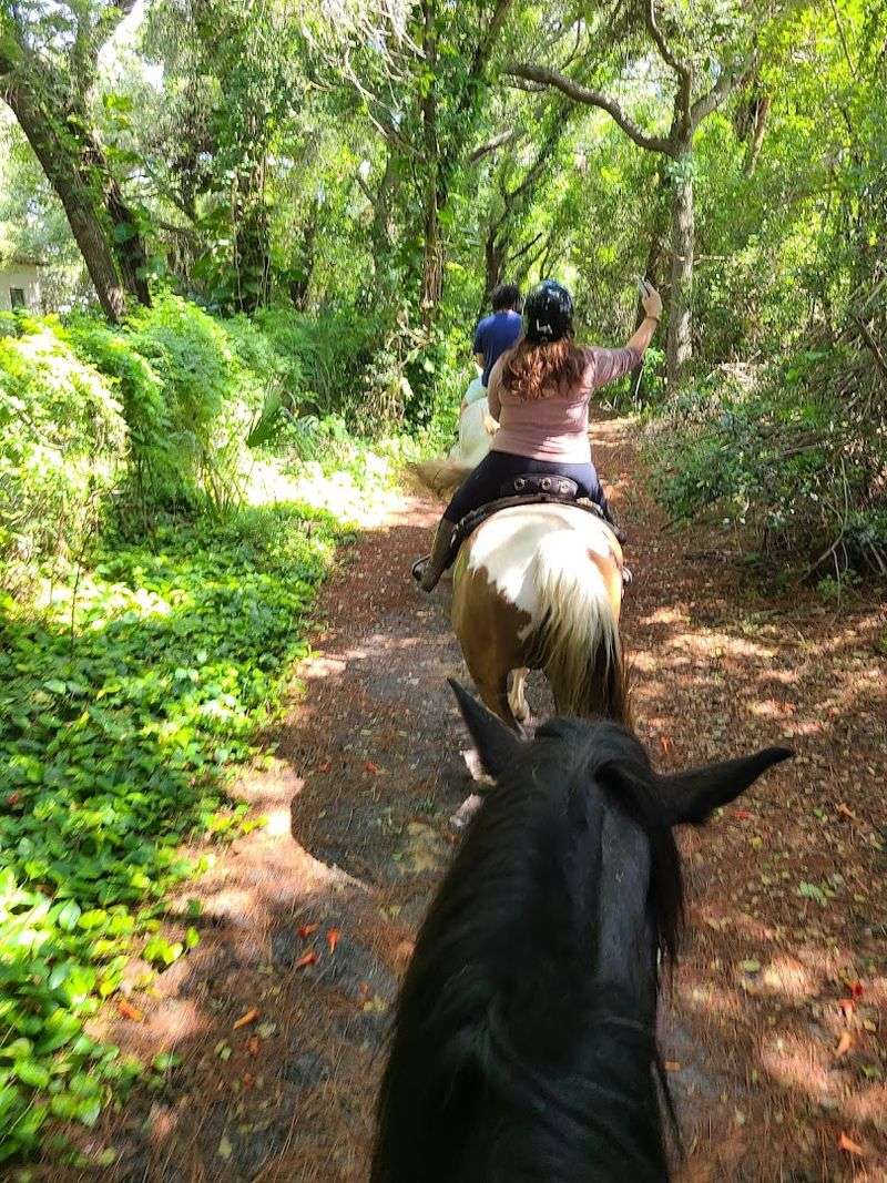 Horseback Riding Tours & Adventures at Cypress Breeze Farm, Pinellas Park, FL Horseback Riding Tours & Adventures at Cypress Breeze Farm, Pinellas Park, FL