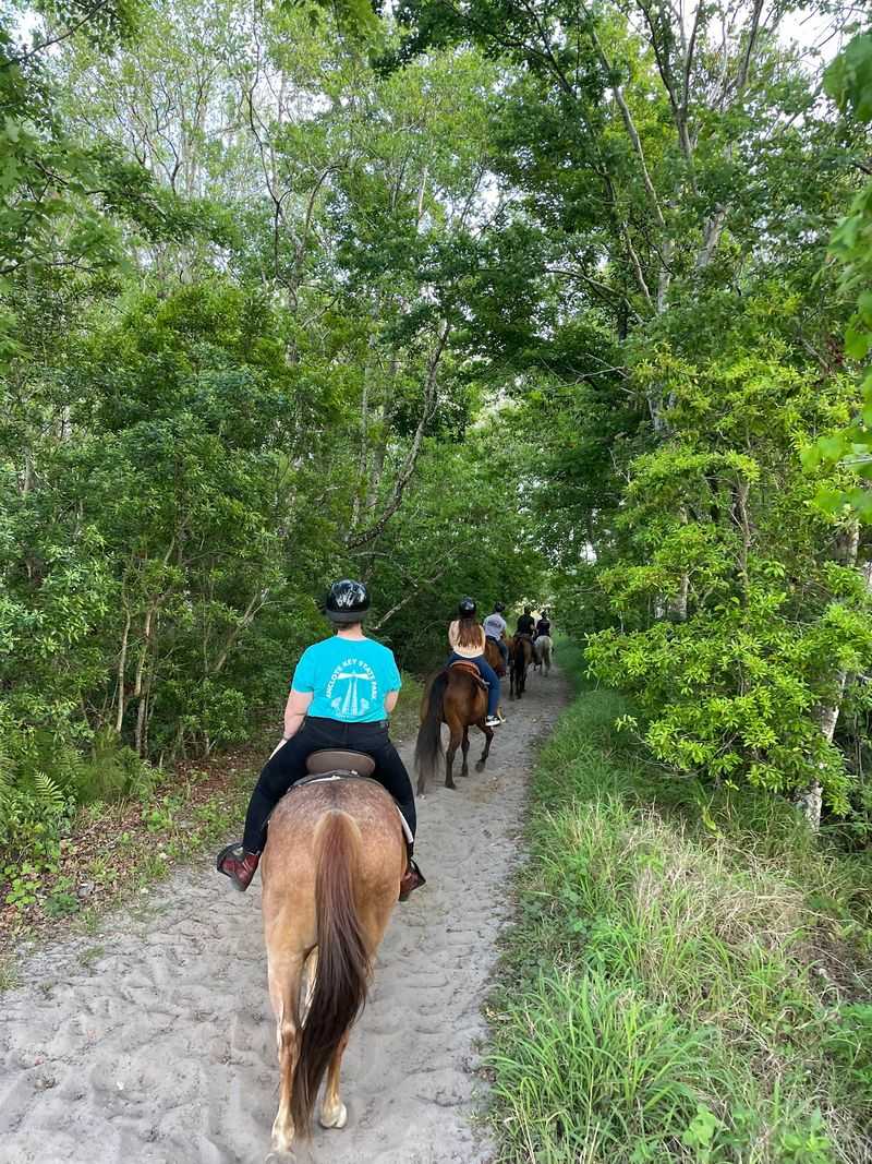 Horseback Riding Trails Offer A Truly Unique Florida Experience Horseback Riding Trails Offer A Truly Unique Florida Experience