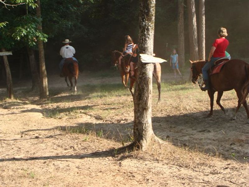 Horseback Trails Across Rolling Ranch Acres