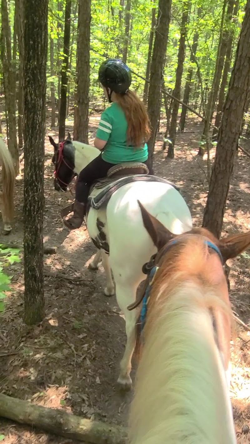 Horseback Trails Lead Through The Mountain Setting Horseback Trails Lead Through The Mountain Setting