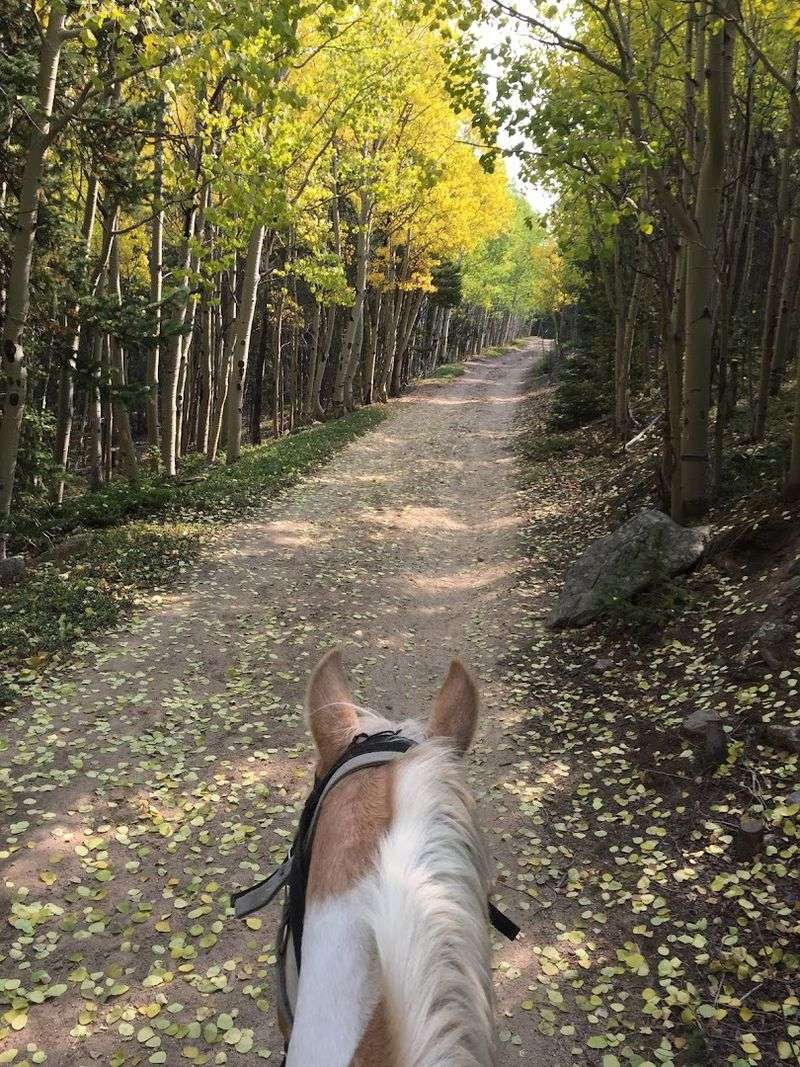 Knowledgeable Guides Who Actually Make the Ride
